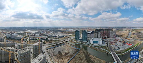 新春開新局 上海自貿(mào)區(qū)臨港新片區(qū)貿(mào)易建設熱潮涌動